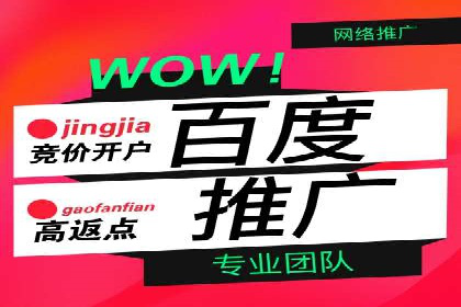 百度信息流推广成功案例：如何实现精准营销